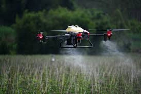 Modern Technology Meets Agriculture in China