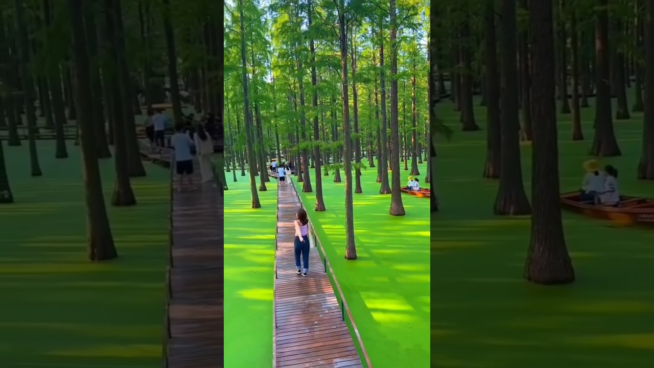 China's 🇨🇳 Unbelievable Places to Visit 🥵 | #adventure #nature #china #vacation